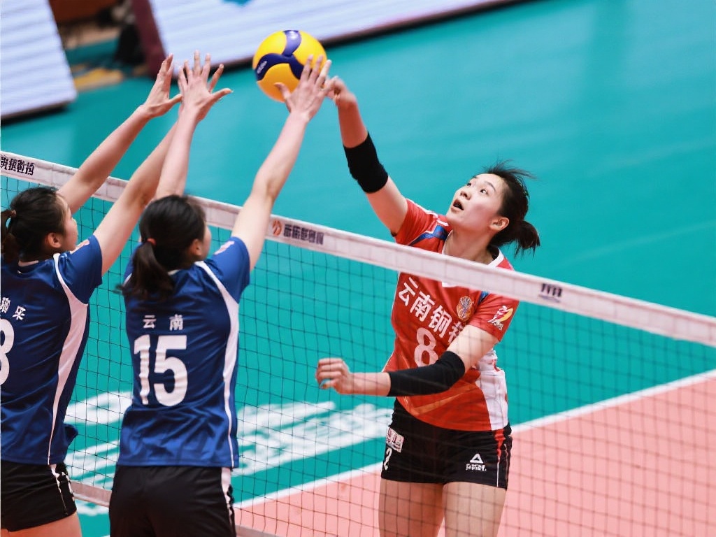 这一数字不 这一数字不